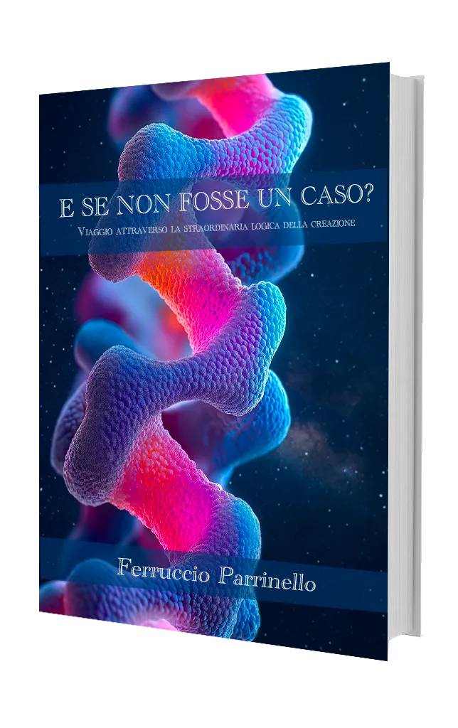 Copertina di E se non fosse un caso?