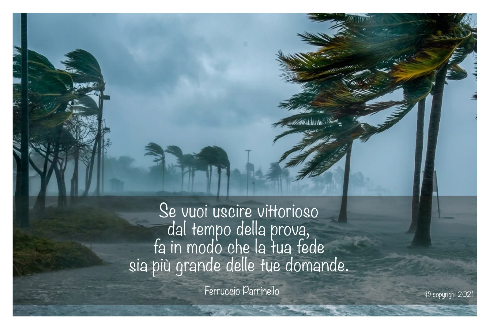 Aforisma di Ferruccio Parrinello
